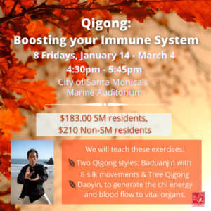 DoAnn's Qigong: Boosting Your Immune System